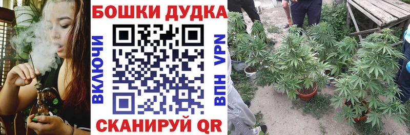 Марихуана марихуана  Волгоград 